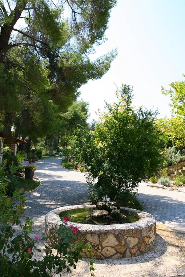 Chrouso Apartments Paliouri Buitenkant foto